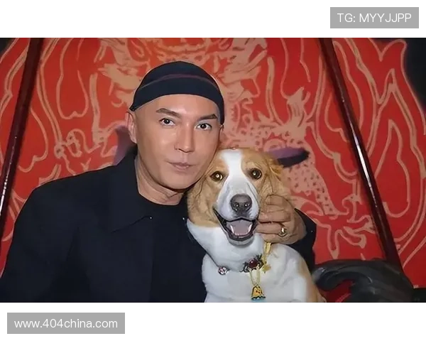 尊龙就是博官方地址:官方地址的访问流程及安全验证方法介绍 尊龙就是博官方地址:官方地址的访问流程及安全验证方法介绍