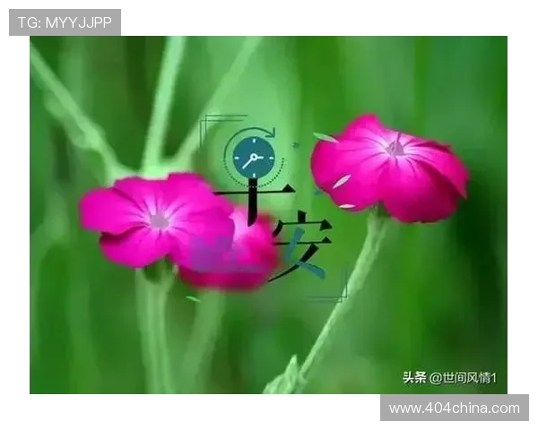 开运体育官网app：丰富的开运攻略与实用技巧，让你每天都充满正能量和好运气